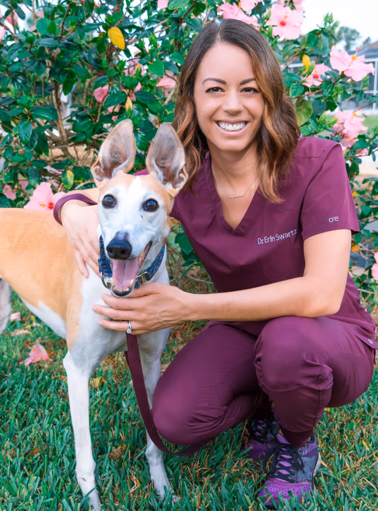 staff profile