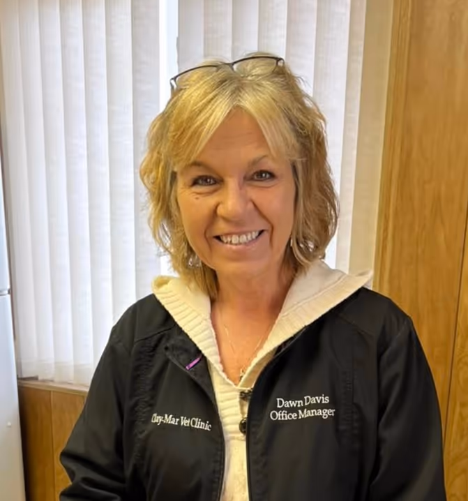 staff profile