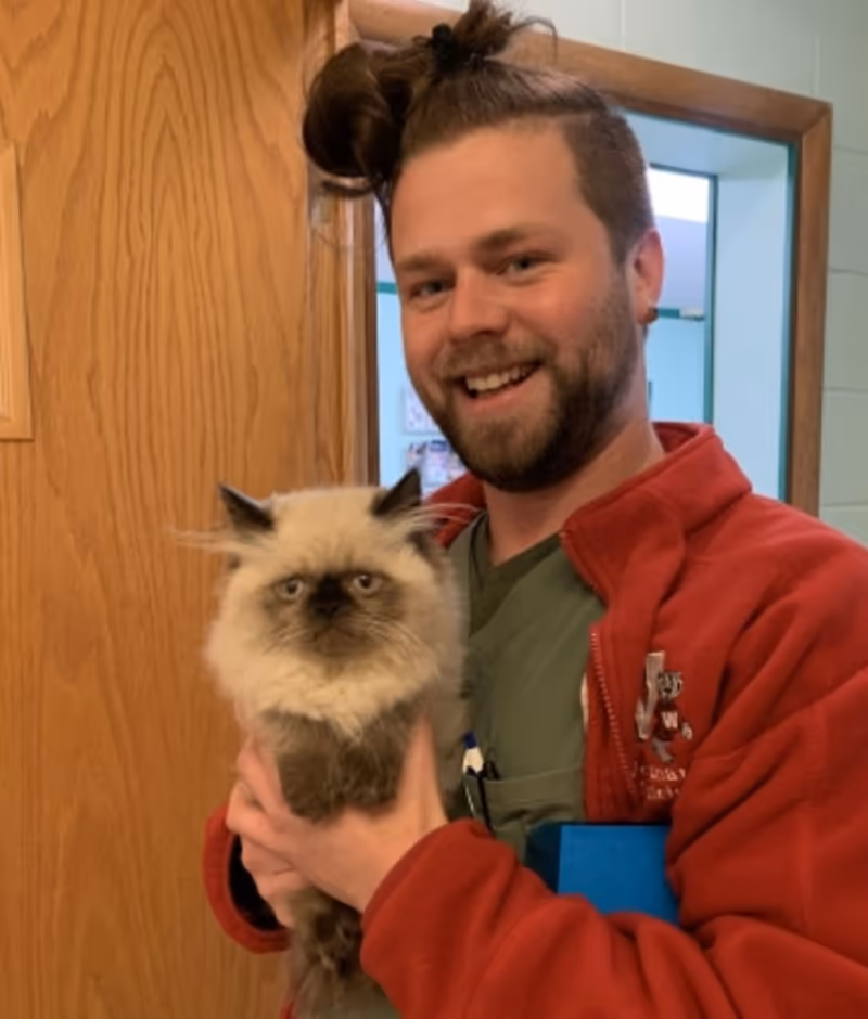 staff profile