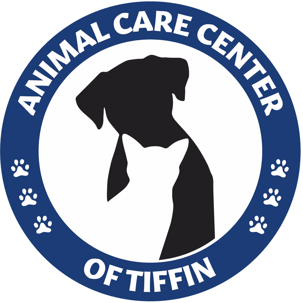 staff profile
