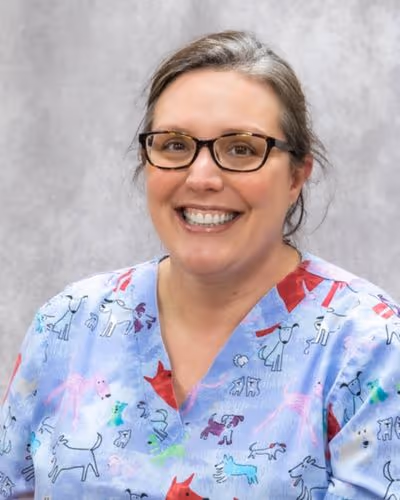 staff profile