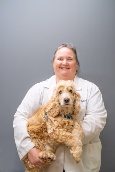 staff profile