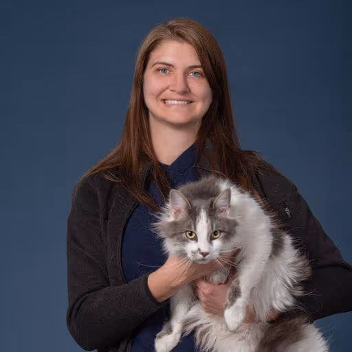 staff profile