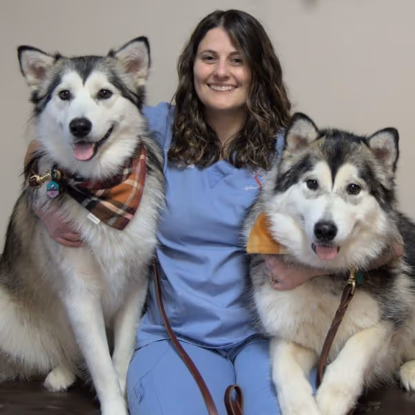 staff profile
