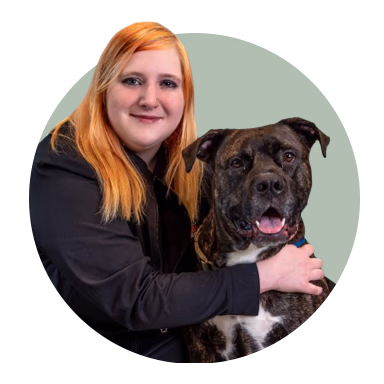 staff profile