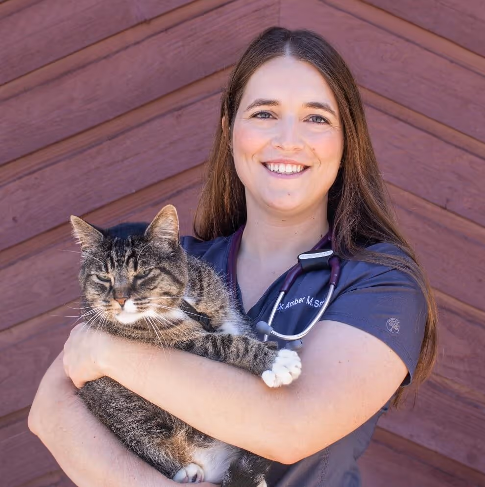 staff profile