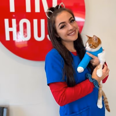 staff profile