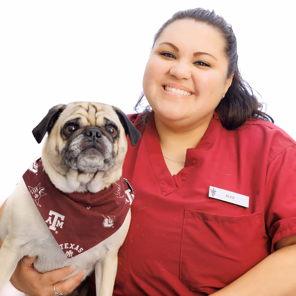 staff profile