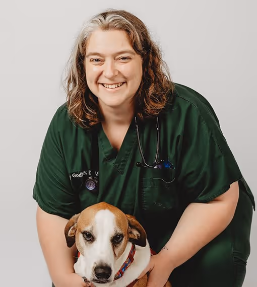 staff profile