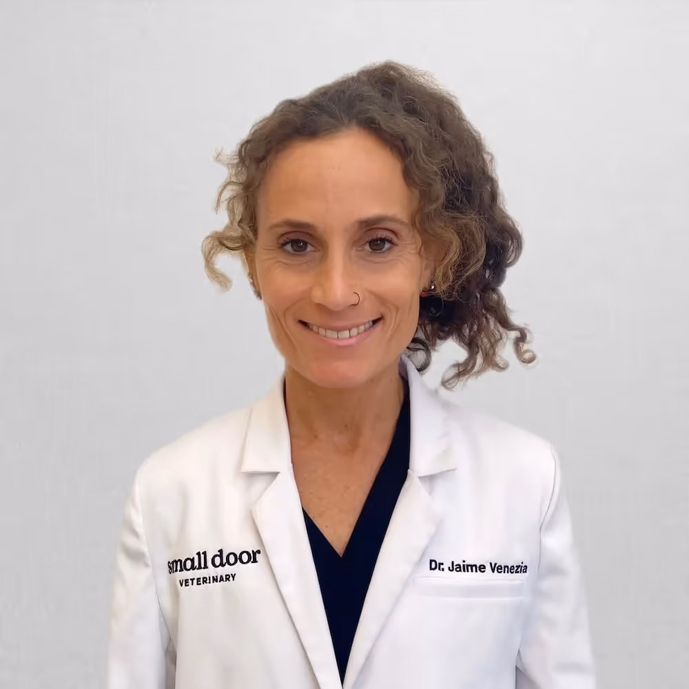staff profile