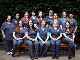 staff profile