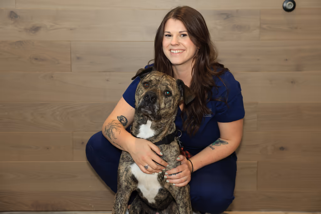 staff profile