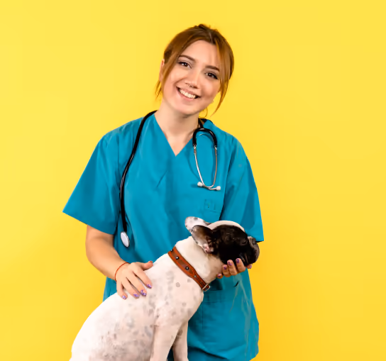 staff profile