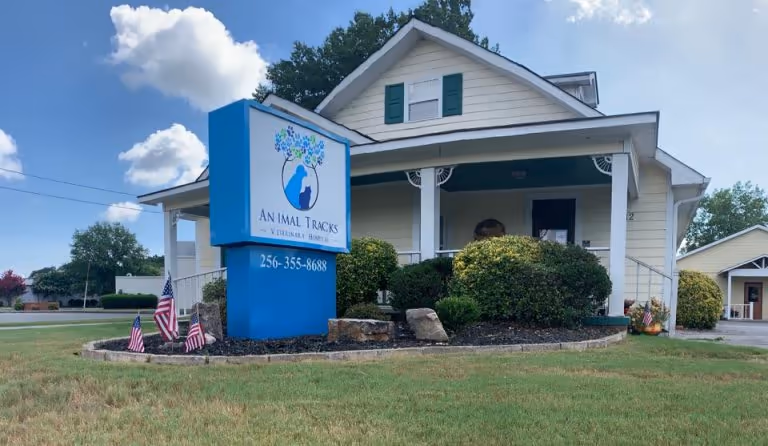 Animal Tracks Veterinary Hospital - Pet services facility
