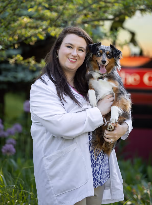 staff profile