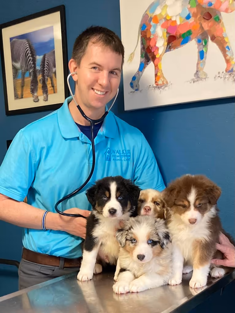 Walker Hometown Animal Care - Pet services facility