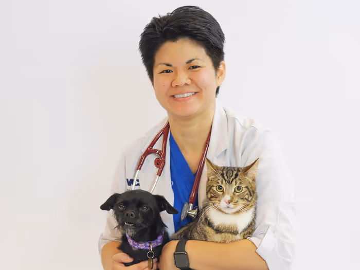staff profile