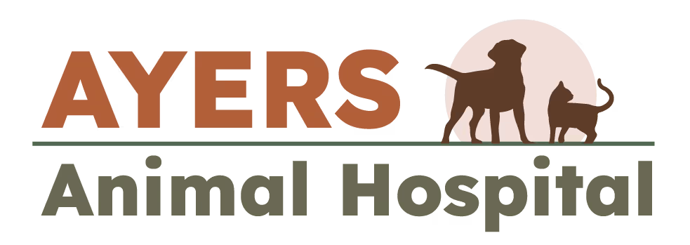 staff profile