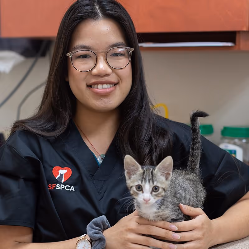 staff profile