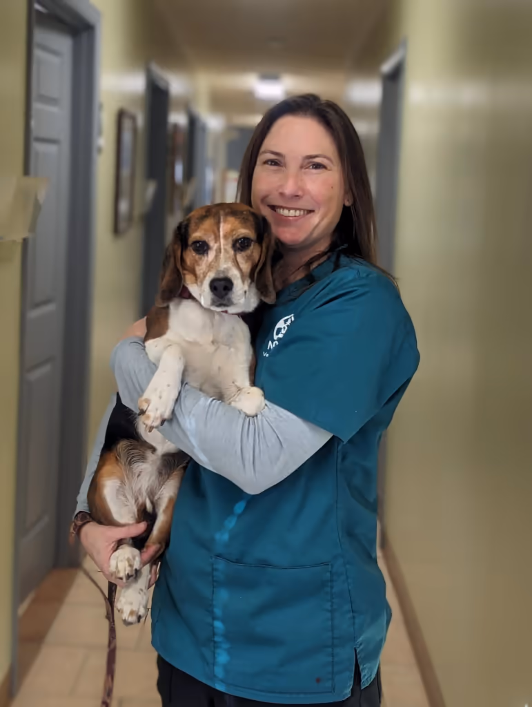 staff profile