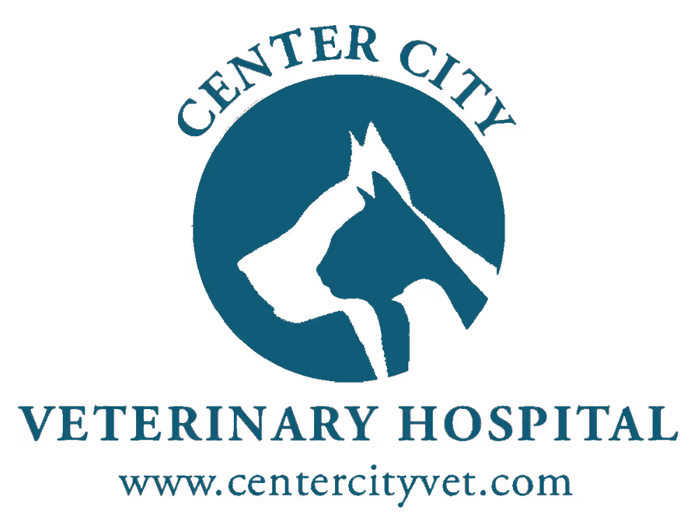 staff profile
