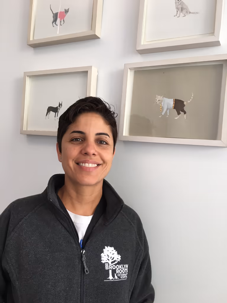 staff profile