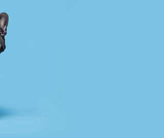 facility profile image