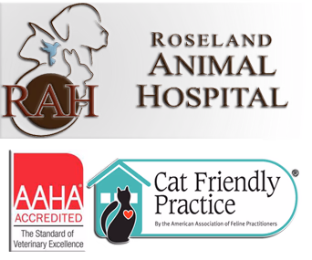 facility profile image
