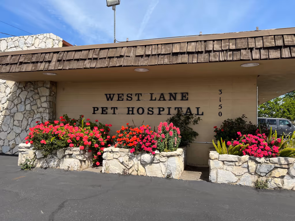 facility profile image