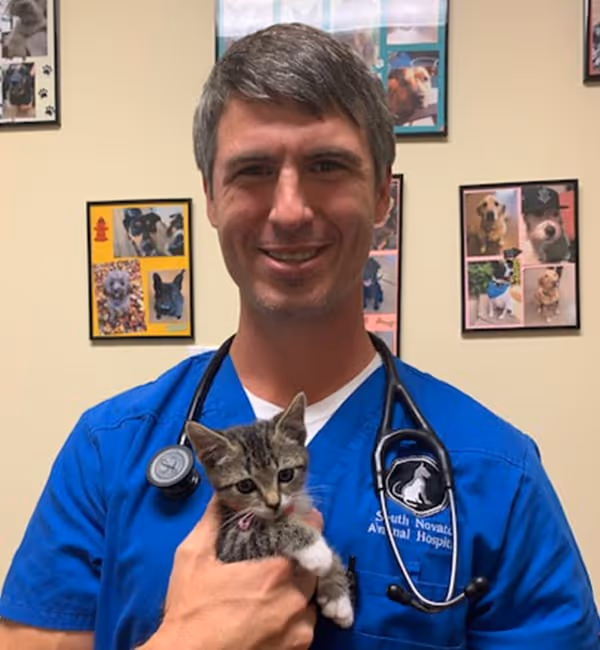 staff profile