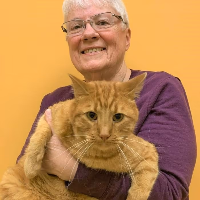 staff profile