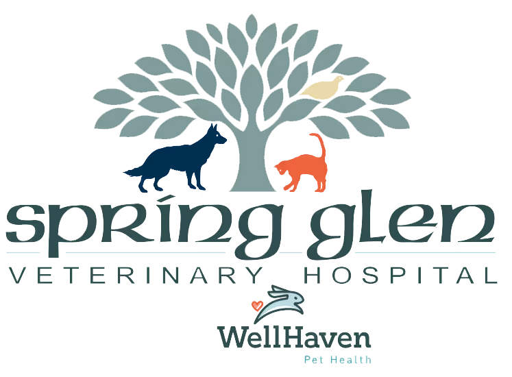 facility profile image