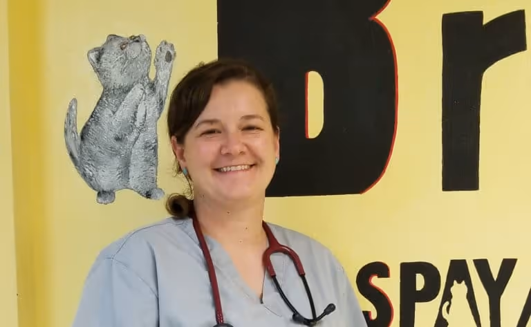 staff profile