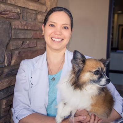 staff profile