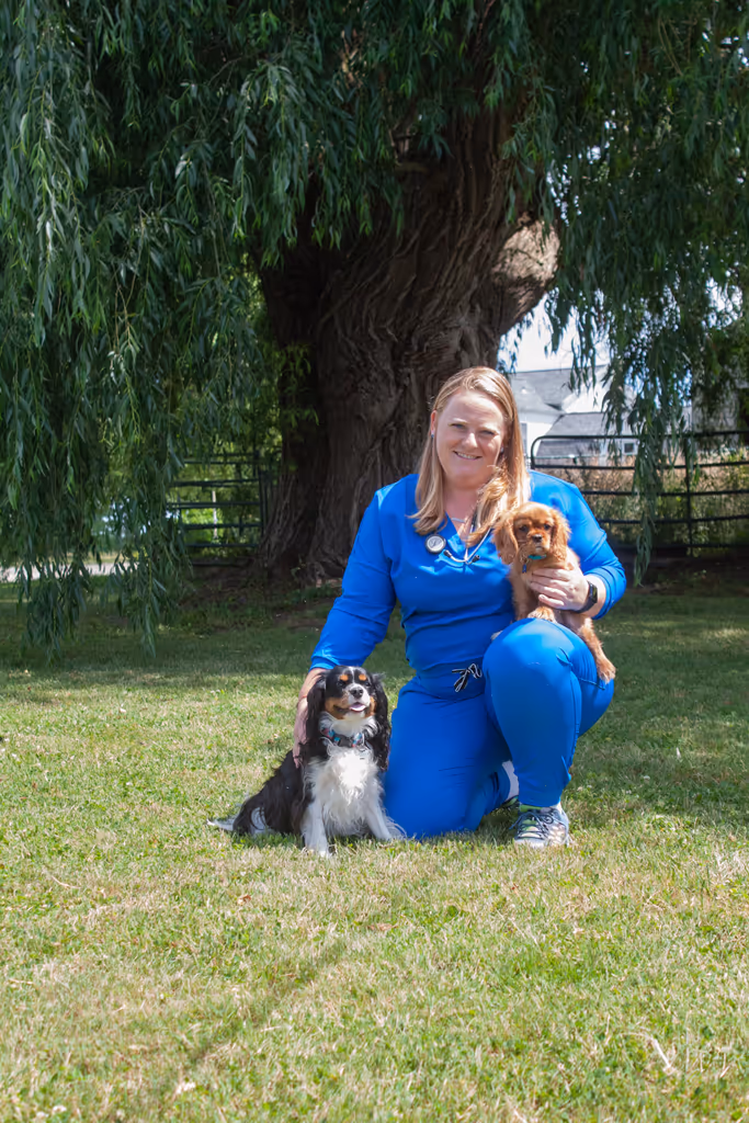 staff profile
