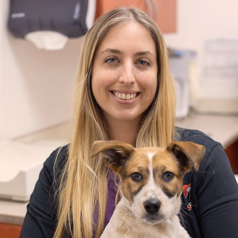 staff profile