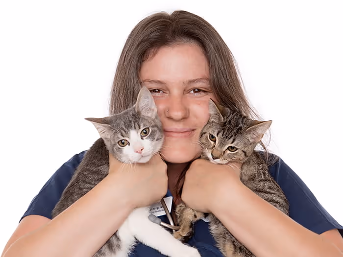 staff profile