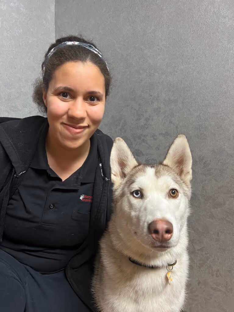 staff profile