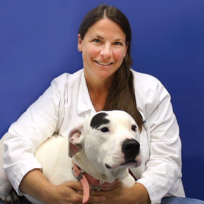 staff profile
