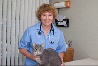staff profile