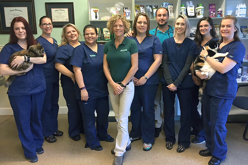 staff profile