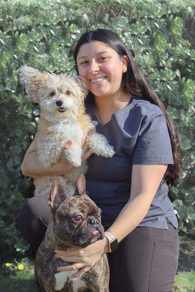 staff profile