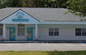 Green Cove Pet Hospital - Pet services facility