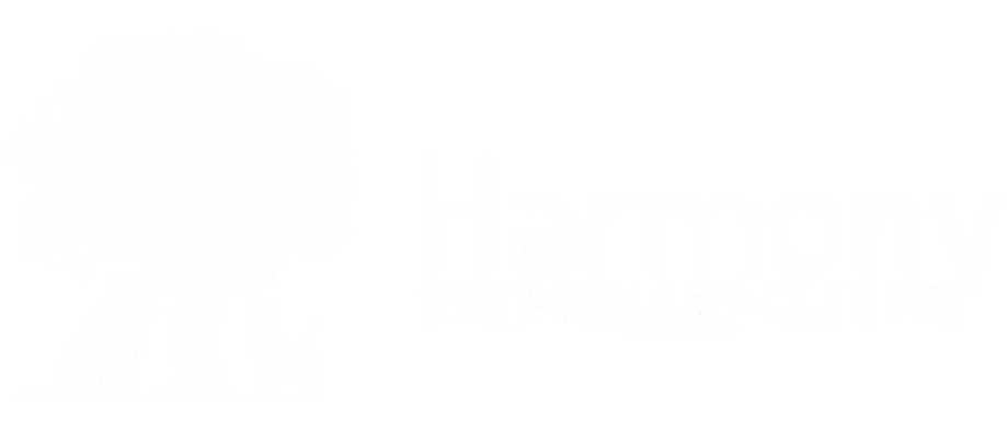 staff profile