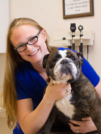 staff profile