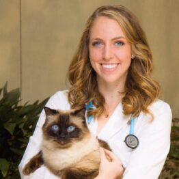 staff profile