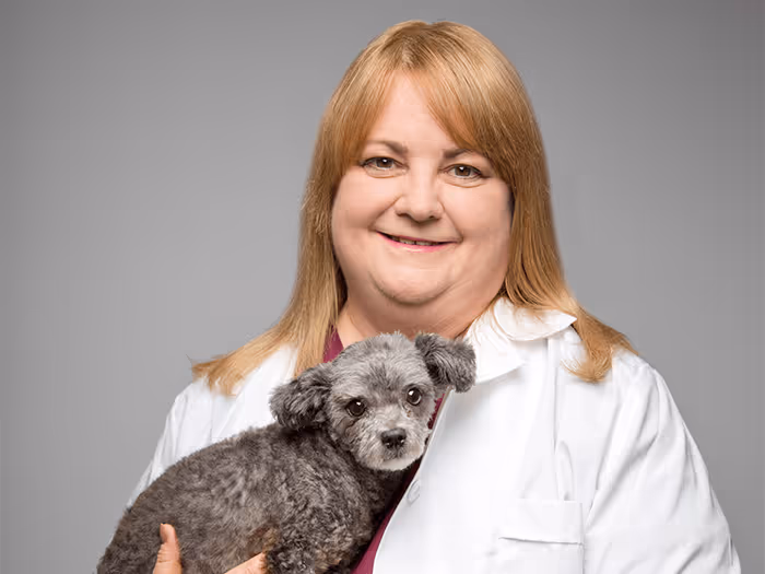 staff profile
