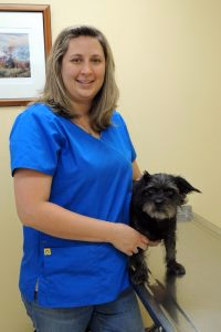 staff profile