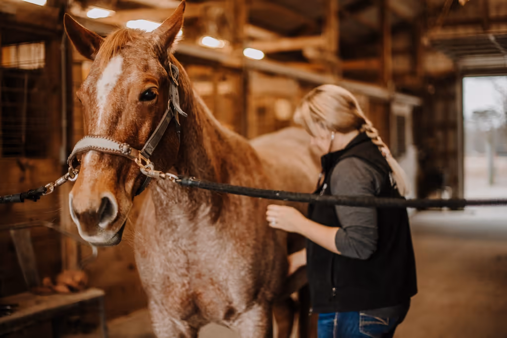 Maple Ridge Mobile Vet Services - Pet services facility