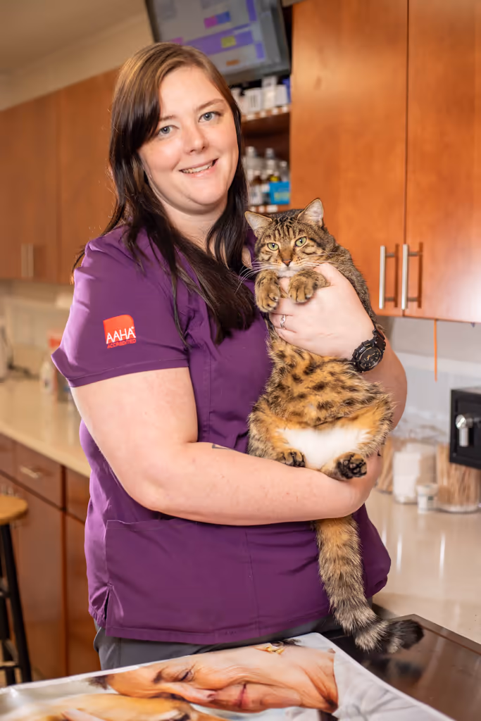 staff profile